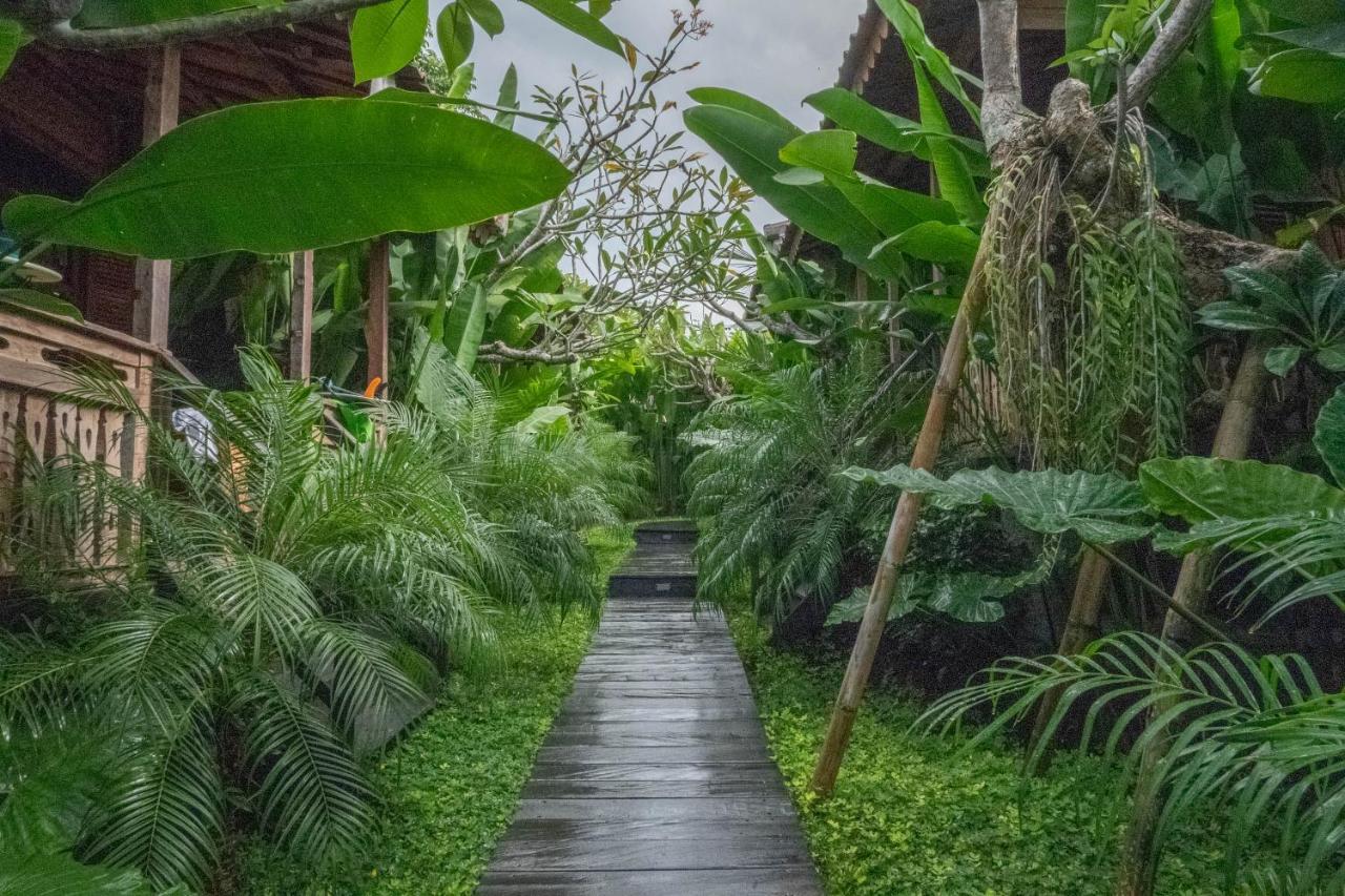 Bajalo Cottage Canggu Exterior photo